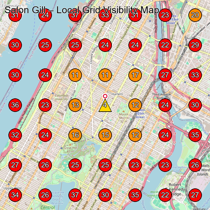 Salon Gill GeoGrid visibility map for Hair Salon in New York